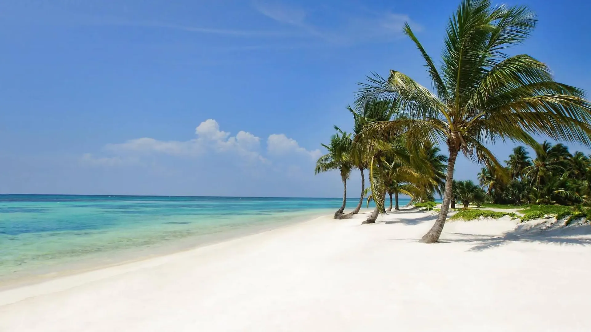 *****  The Westin Puntacana Resort Punta Cana Dominican Republic
