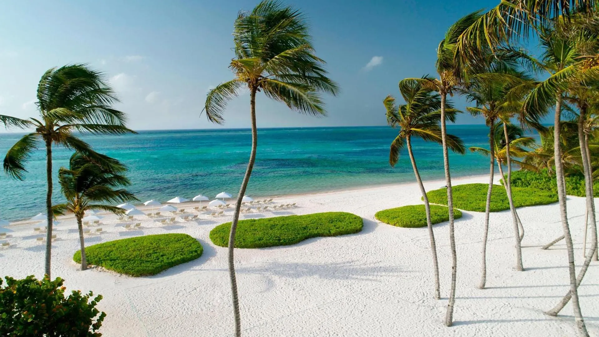 The Westin Puntacana Resort Punta Cana Dominican Republic